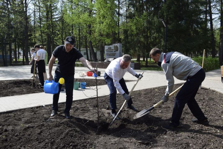 Район башлыгы Рәгать Хөсәенов һәм яшьләр хәрәкәте «Хәтер бакчасы» акциясендә катнаштылар