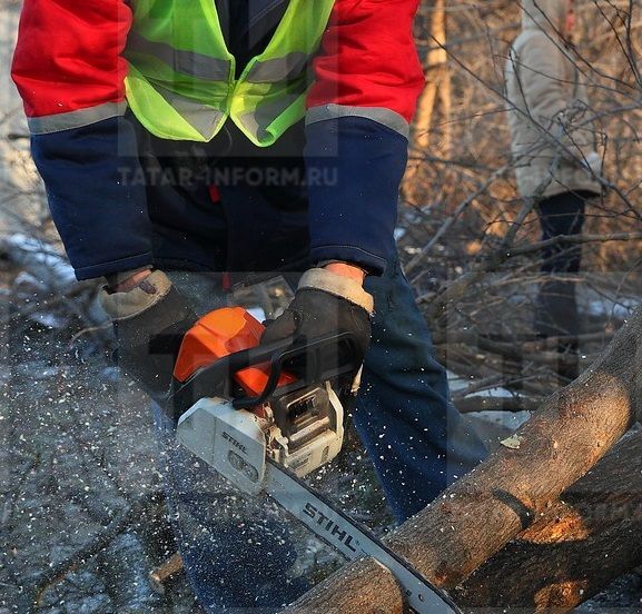 Татарстанда бер әби пычкы белән оныгының борынын кискән