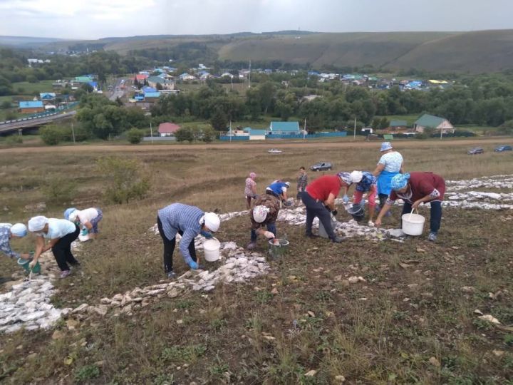 Сугышлы авылында тау башында язылган «Әлһәмдүлләһи шөкер» язуын яңартканнар