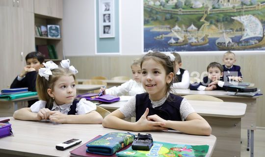 Музыка, рәсем дәресе һәм физкультурадан билге куймаска тәкъдим итәләр