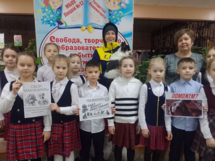 12нче лицей укучылары макулатура тапшырып, хуҗасыз этләргә ярдәм итте