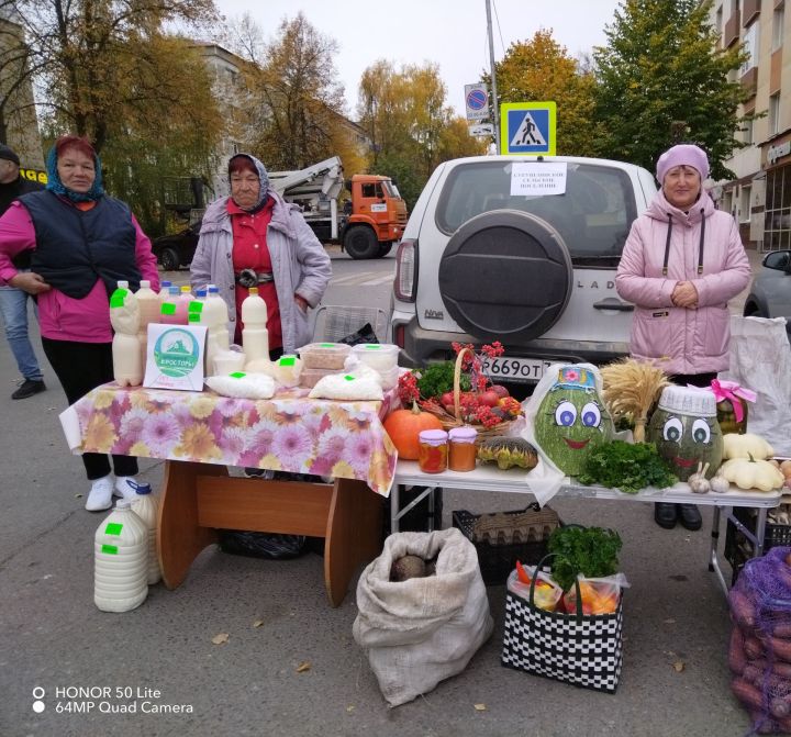 Лениногорскида авыл хужалыгы ярминкәсе узды (+фотолар)