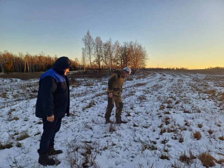 Лениногорск ветеринария хезмәте малларның имин булуы сагында тора