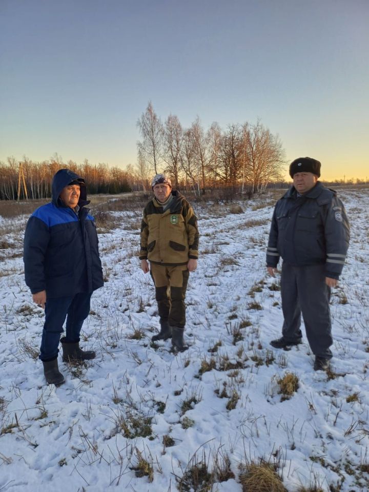 Лениногорск ветеринария хезмәте малларның имин булуы сагында тора