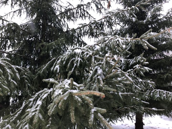 Таһир Шәмсуаров: Теләмичә киткән иске елны әле байтак сагынып сөйләрбез