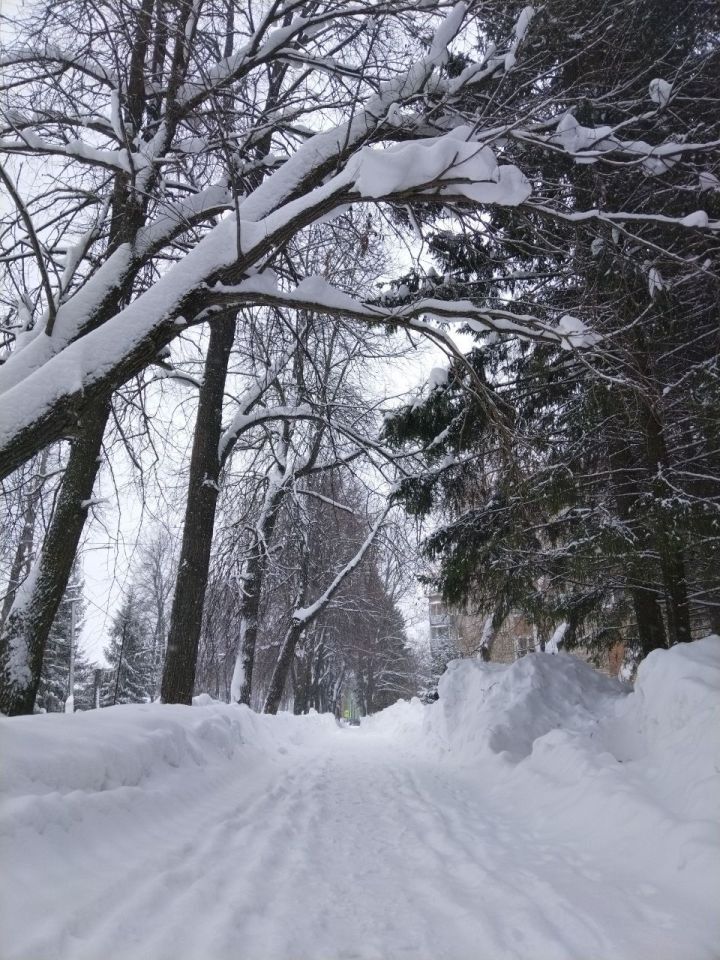 Февраль аена халык сынамышлары