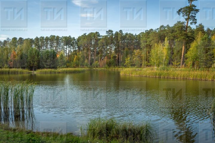 Лениногорскилы Писмән буасын үз милкенә әйләндереп куйган