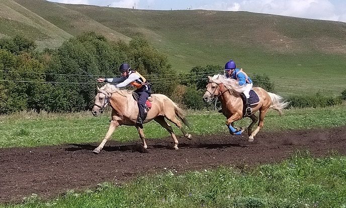 Лениногорскида «Татар аты» фестивале узды (+фотолар)