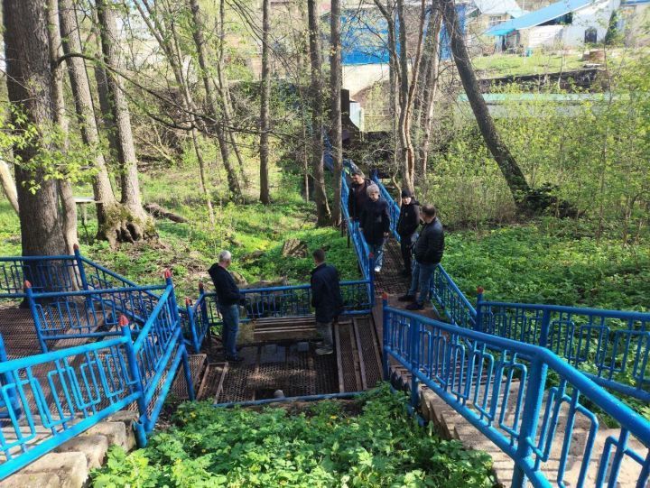 Лениногорскида урман паркындагы  чишмәне төзекләндерәчәкләр