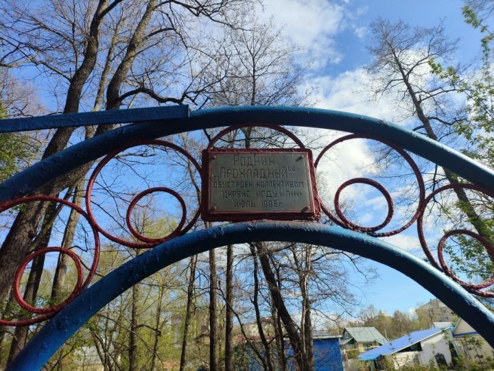 Лениногорскида урман паркындагы  чишмәне төзекләндерәчәкләр