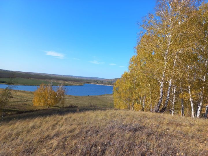 Иске Писмәндә яшәүче берәү авыл буасын законсыз рәвештә үз милегенә әйләндергән