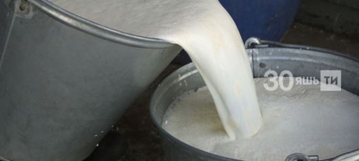 Татарстан Авыл хуҗалыгы һәм азык-төлек министрлыгында сөт сатып алу бәясенең кимүен аңлаттылар