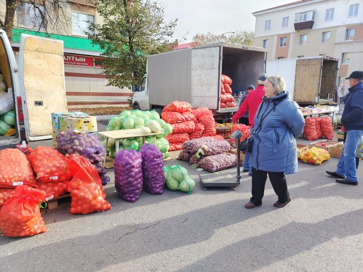 Лениногорскида авыл хуҗалыгы ярминкәсе була