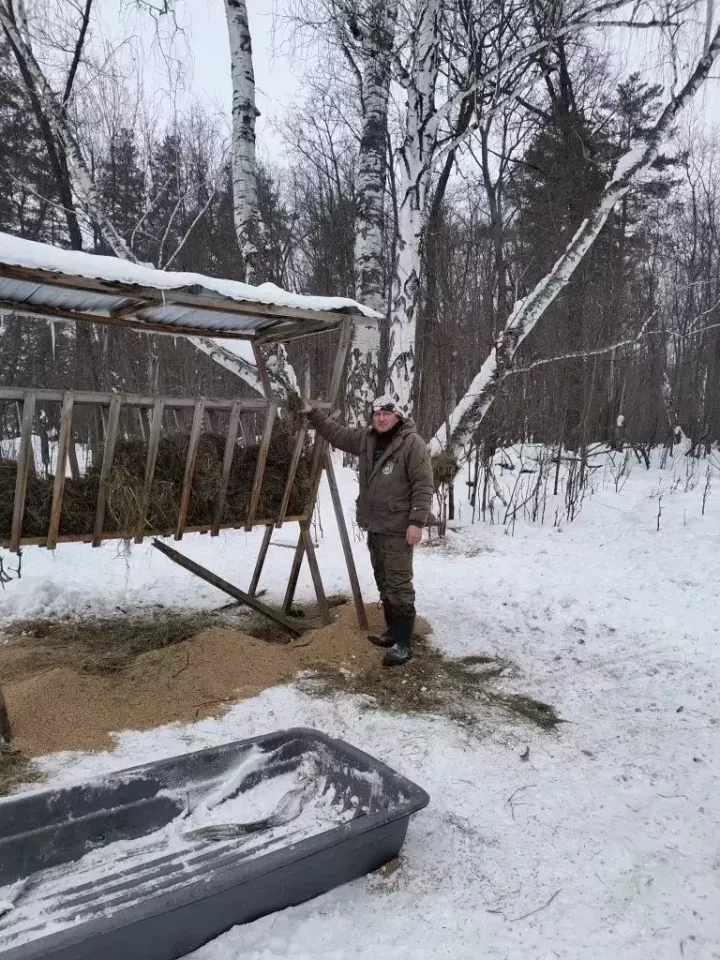 Лениногорск районында кыш көне кыргый җәнлекләрне тукландыруга күпме печән һәм бөртек киткәнен санадылар