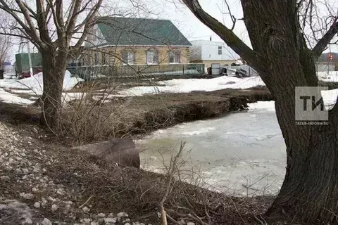 Март башында бакчачыларга эш бар