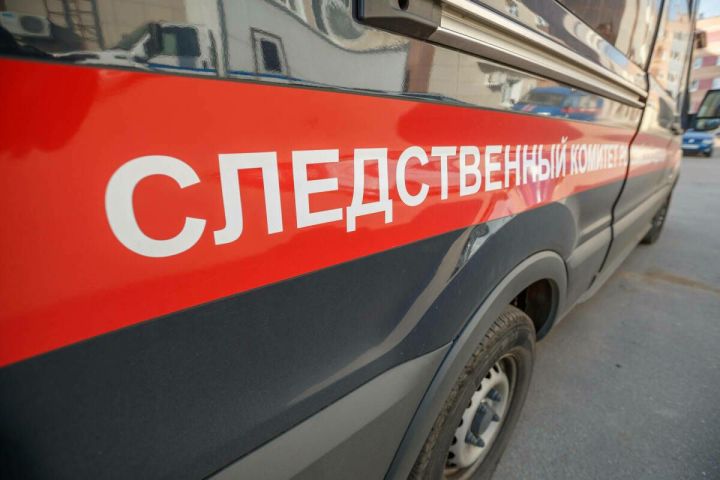 Түбән Камада бультерьер токымлы эт 12 яшьлек кызга һөҗүм иткән