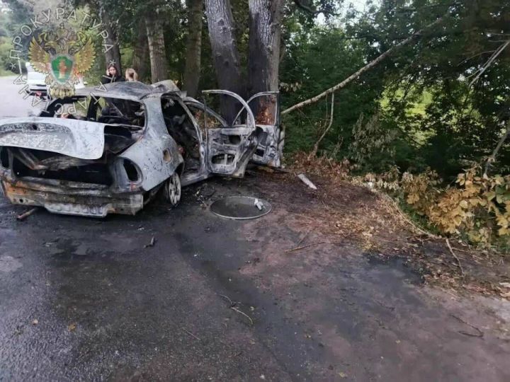 Татарстанда агачка килеп кергән машинада 16 яшьлек җиде яшүсмер барган, 6 кеше һәлак булган