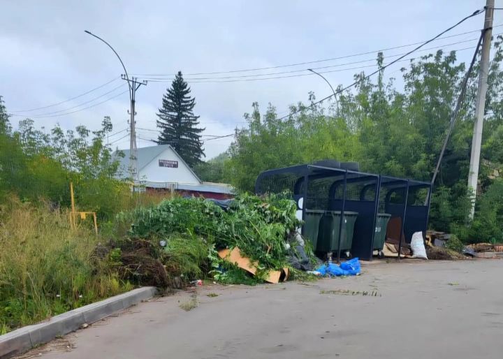 Лениногорскида санкцияләнмәгән калдыклар җыелганда кая шалтыратырга