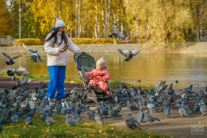 Декретка чыгу пенсия күләменә йогынты ясый икәнен аңлатты белгеч